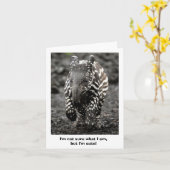 Carte Créature de mystère (Fleur jaune)