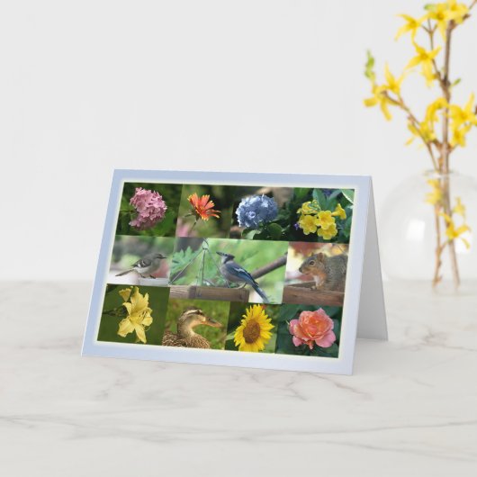 Carte Créatures et collection de création (Fleur jaune)