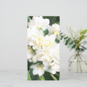 Carte crème d'impression de narcisse (Debout devant)