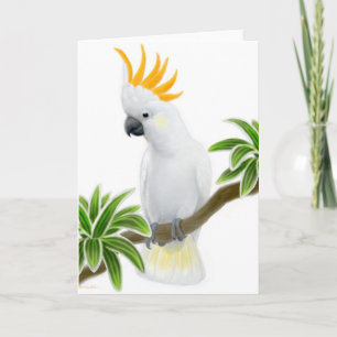 Carte Crested Coccoton Greeting Card