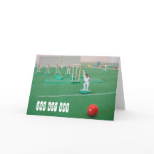 Cricket 100e anniversaire