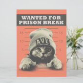 Carte Crime Kitty (Debout devant)