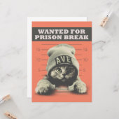 Carte Crime Kitty (Devant/Arrière en situation)