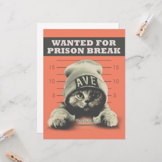 Carte Crime Kitty (Devant/Arrière en situation)