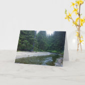 Carte Crique de Cummins au parc national Neptune, OU (Fleur jaune)