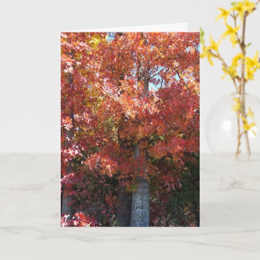 Carte Crise d'automne (Fleur jaune)