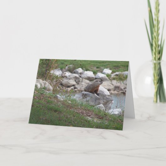 Carte Critère Au Lac (Devant)