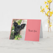 Carte Critère Sitter LV LAGUNA (Fleur jaune)