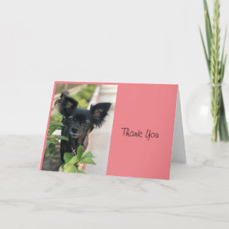 Carte Critère Sitter LV LAGUNA