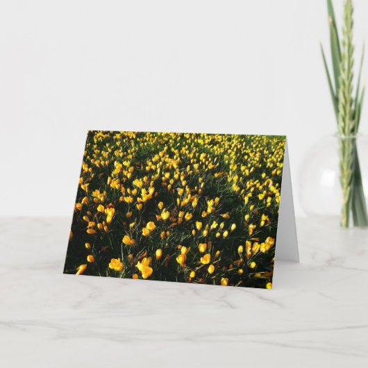 Carte Crocus de février (Devant)