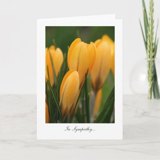 Carte Crocus de printemps dorés - En Sympathie (Devant)