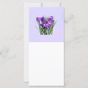 Carte Crocus pourpres