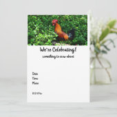 Carte Croisement de coq (Debout devant)