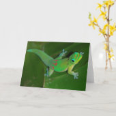 Carte Croisiere de Gecko la nuit (Fleur jaune)