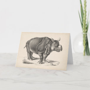 Carte Croquis Brodtmann Rhinoceros