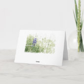 Carte Croquis de Bluebonnet (Dos)