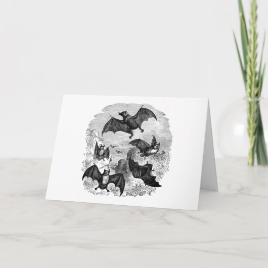 Carte Croquis de chaume (Devant)