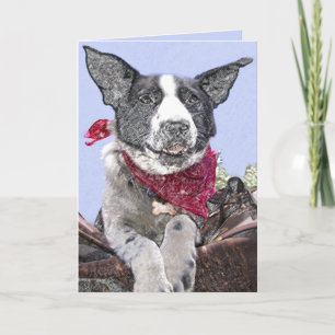 Carte Croquis de chien mélange Border Collie mignon Cart