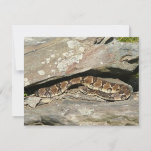Carte Crotale dans le parc national de Shenandoah