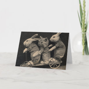 Carte Cru - lapins et chaton,