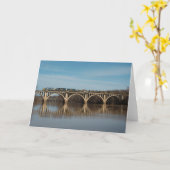 Carte CSX au fredericksburg (Fleur jaune)