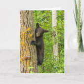 Carte Cube d'ours noir | Minnesota (Devant)