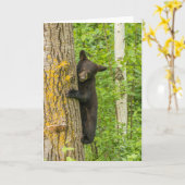 Carte Cube d'ours noir | Minnesota (Fleur jaune)