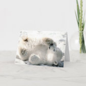 Carte Cube d'ours polaire (Devant)