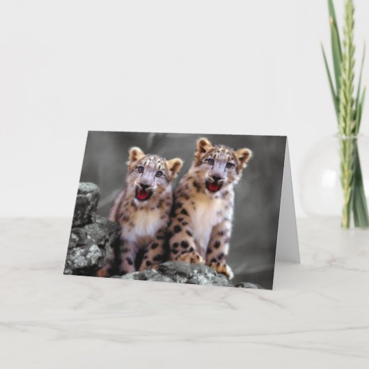Carte Cubes de léopard des neiges (Devant)