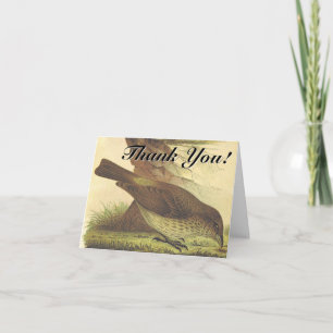 Carte Cueillette D'Oiseaux Au Sol "Merci !"