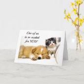 CARTE ***CUISINE EXCITÉE*** POUR VOUS OBTENEZ LE PERMIS  (Fleur jaune)