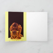 CARTE CUISINE WILD CAT (Intérieur)