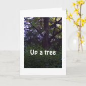 CARTE CUISINEZ UN ARBRE SOUHAITE QUE VOUS N'AYEZ PAS UN  (Fleur jaune)