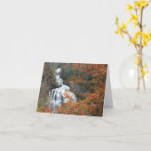 Carte Cullasasse (Fleur jaune)