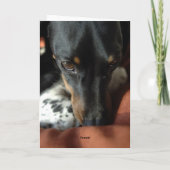 Carte Culpabilité (Dos)