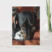 Carte Culpabilité (Devant)