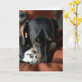 Carte Culpabilité (Fleur jaune)