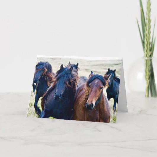 Carte Cumbrian Fell Ponies (Devant)