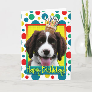 Carte Cupcake Anniversaire -Anglais Springer Spaniel -Ba