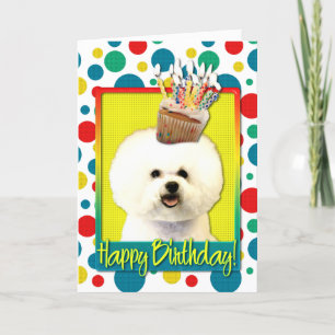 Carte Cupcake d'anniversaire - Bichon Frise