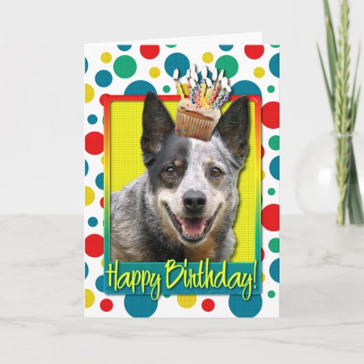 Carte Cupcake d'anniversaire - Chien de bétail australie (Devant)