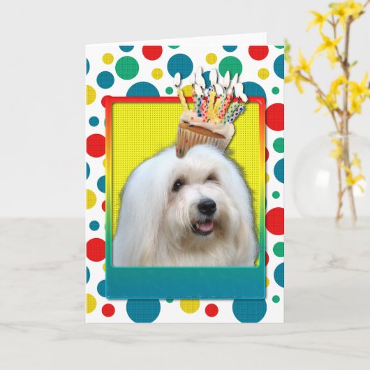 Carte Cupcake d'anniversaire - Coton de Tulear (Fleur jaune)
