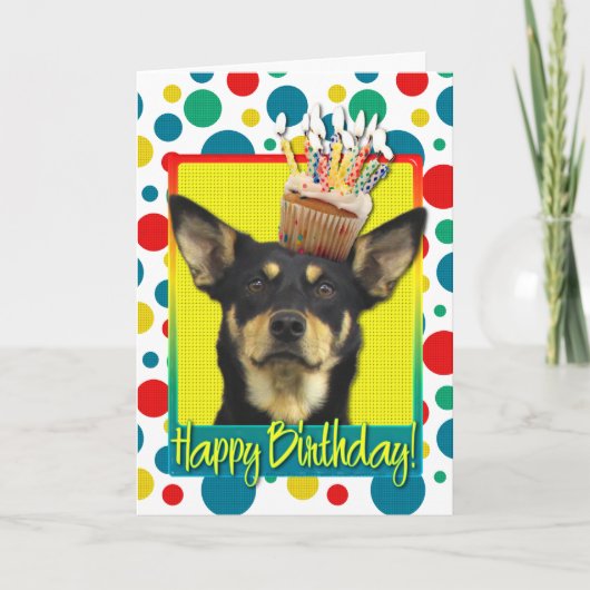 Carte Cupcake d'anniversaire - Kelpie australienne - Jud (Devant)
