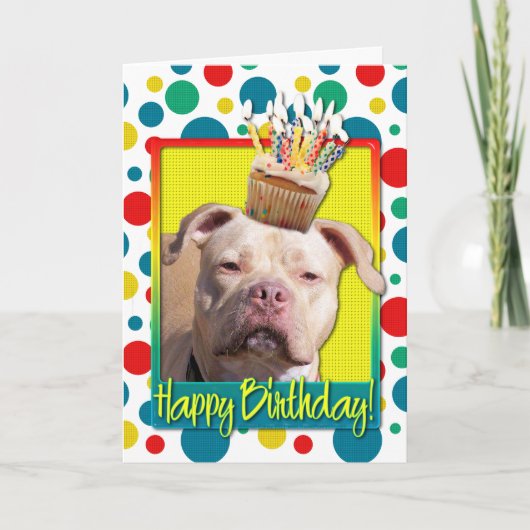 Carte Cupcake d'anniversaire - Pitbull - Jersey Girl (Devant)
