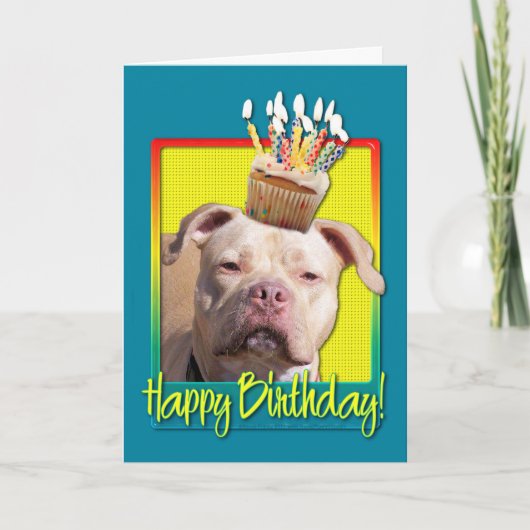 Carte Cupcake d'anniversaire - Pitbull - Jersey Girl (Devant)