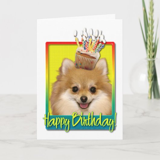 Carte Cupcake d'anniversaire - Pomeranian (Devant)