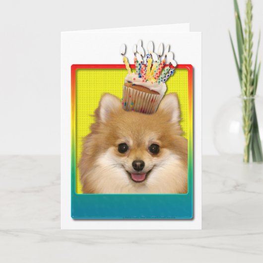 Carte Cupcake d'anniversaire - Pomeranian (Devant)