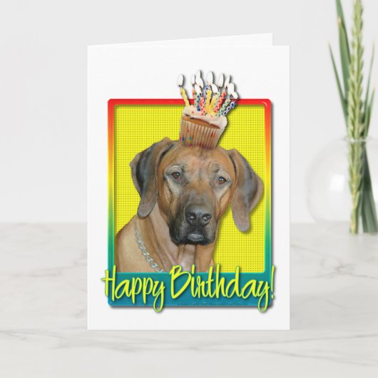 Carte Cupcake d'anniversaire - Rhodesian Ridgeback (Devant)