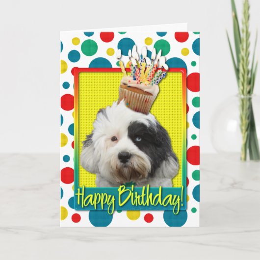 Carte Cupcake d'anniversaire - Terrier tibétain (Devant)