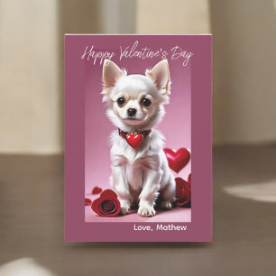 Carte Cupidon Chihuahua
